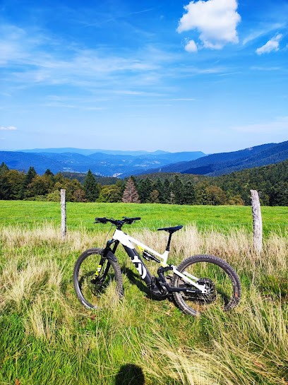 Mountain E Motion, Agence de Voyage à Sainte-Marie-aux-Mines