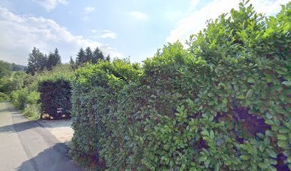 Goodway voyages, Agence de Voyage à Saint-Ours