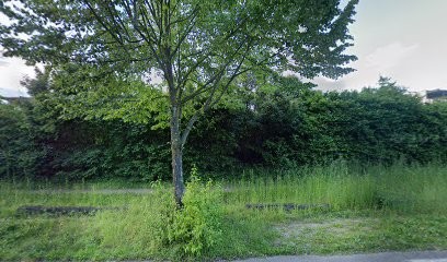 TRAVEL DEVELOPMENT, Agence de Voyage à Saint-Priest