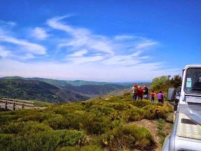 ORBS Expérience, Agence de Voyage à Massegros Causses Gorges