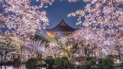 Voyage Attitude, Agence de Voyage à Six Fours Les Plages