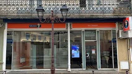 Selectour - Tarn Voyages, Agence de Voyage à Mazamet