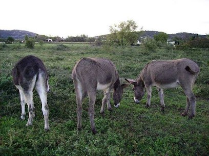 Trekane, Agence de Voyage à Vallon-Pont-d'Arc