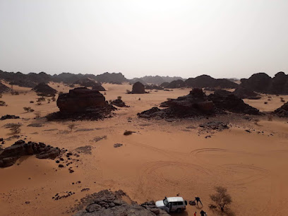 Algérie Voyages, Agence De Voyage à Chaumot