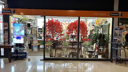 Selectour - Rungis Voyages, Agence de Voyage à Rungis