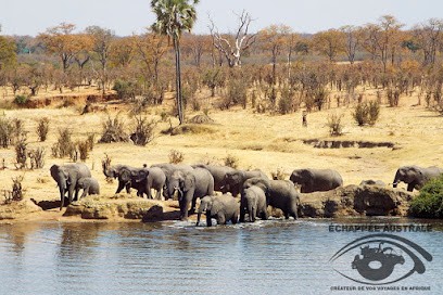 Échappée Australe, Agence de Voyage à Thionville