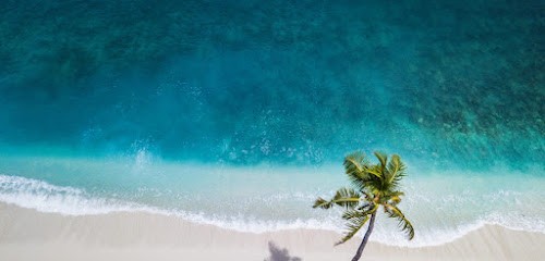 Delora Tourisme, Agence de Voyage à Saint-Jacques-de-la-Lande