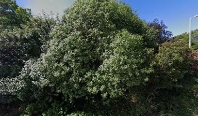 Terra Spots Voyages, Agence de Voyage à Pornichet