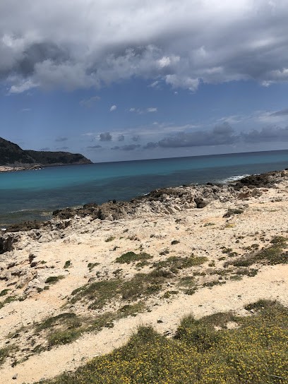 Voyages Ruban Bleu - St Sulpice, Agence de Voyage à Saint-Sulpice-la-Pointe