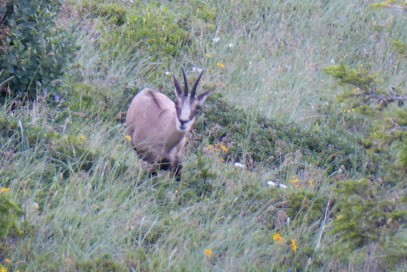 Rando evasion / l'evasion en marchant, Agence de Voyage à Saint François Longchamp