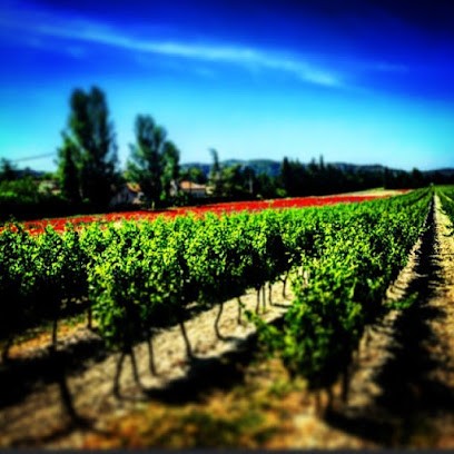 Mistral Tour, Agence de Voyage à Villeneuve-lès-Avignon