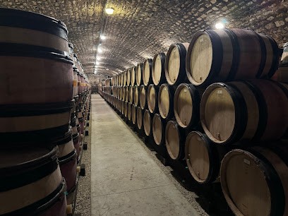 Safari Tours, Agence de Voyage à Beaune