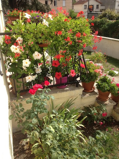 Et Si On Partait, Agence de Voyage à Roanne