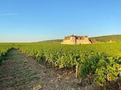 Burgundy Unlimited, Agence de Voyage à Nuits-Saint-Georges