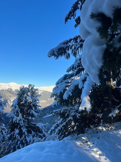 VeryMountain, Agence de Voyage à Lyon 01