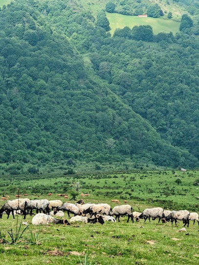 Gerald berry, Agence de Voyage à Saint-Jean-de-Luz