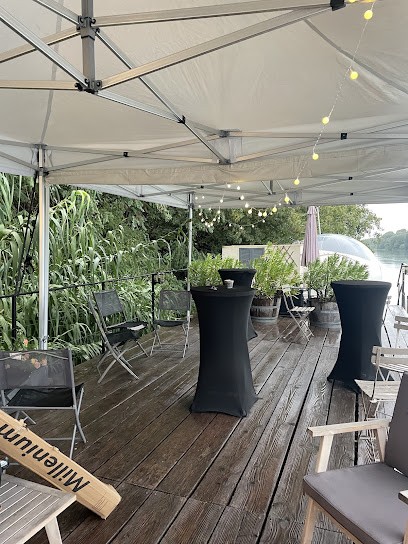 Voyage Au Carré, Agence de Voyage à Villeurbanne