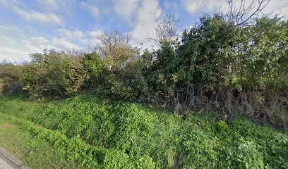 Selectour - Les Voyages Duclos, Agence de Voyage à Catonvielle