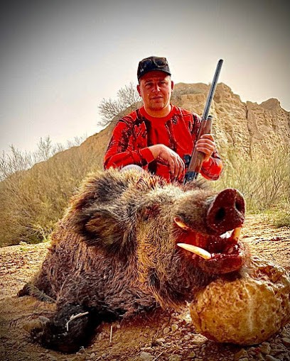 Voyages Chasse Tunisie Sanglier, Agence de Voyage à Émeringes