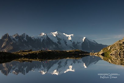 Natures Du Monde, Agence de Voyage à Menthon-Saint-Bernard