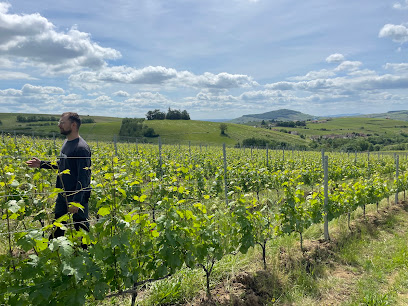 Private Wine Tour Chablis - Jeanguyot Wine Society, Agence De Voyage à Chablis
