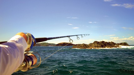 P.A.C Voyages, Agence de Voyage à Polliat