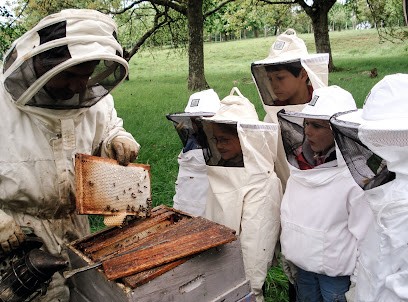 Côté Découvertes, Agence de Voyage à Saint-Jean-de-Sixt