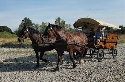 Les Calèches De La Marquise, Agence de Voyage à Grignan