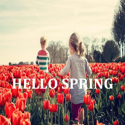 Go Study Travel - Agence Au Pair Et Demi Pair, Agence de Voyage à Tassin-la-Demi-Lune