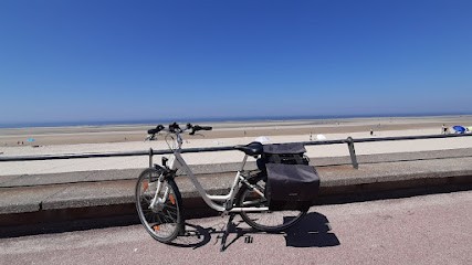 Opale à Vélo, Agence de Voyage à Neufchâtel-Hardelot