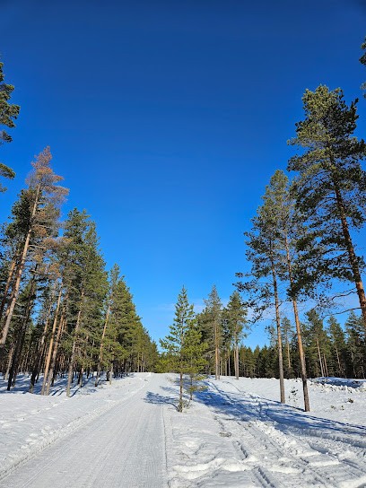 Quartier Libre, Agence de Voyage à Villeurbanne