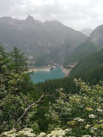Vanoise Ecotourism, Agence de Voyage à Sainte-Foy-Tarentaise