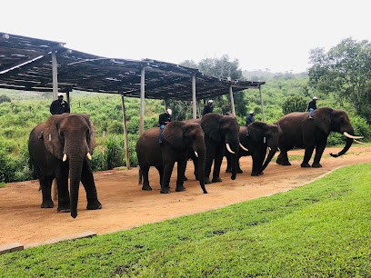 VOYAGES PLUS, Agence de Voyage à Rungis