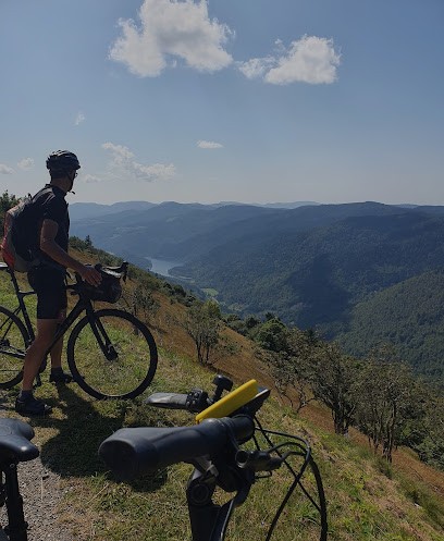 Bike Tours Vosges, Agence de Voyage à Xonrupt-Longemer
