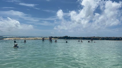 Lune 2 Miel, Agence de Voyage à Maubeuge