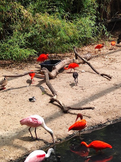 Du Tourisme Des Alpilles, Agence de Voyage à Saint-Rémy-de-Provence
