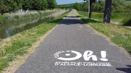 Terres D'Oh, Agence de Voyage à Sarreguemines