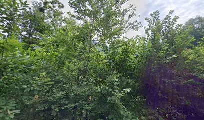 l'évasion en marchant, Agence de Voyage à Saint-Étienne-de-Cuines