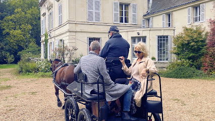 Royal Weekend France Agence De Voyage à Neuillé